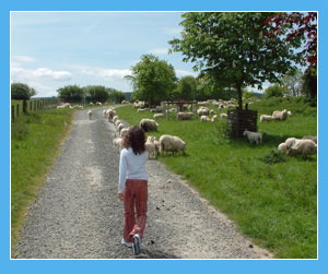 farm holidays in self catering cottages