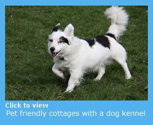 pet friendly cottages with a dogs kennel where your pet can stay for short periods