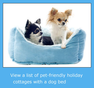 pet friendly cottages with a dog bed to rent for holidays